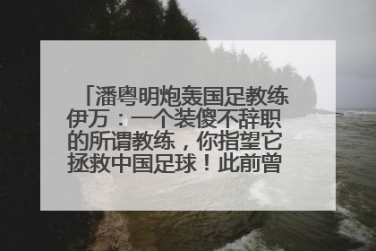潘粤明炮轰国足教练伊万：一个装傻不辞职的所谓教练，你指望它拯救中国足球！此前曾多次发文评价国足