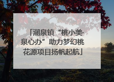 潮泉镇“桃小美·泉心办”助力梦幻桃花源项目扬帆起航