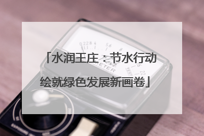 水润王庄：节水行动绘就绿色发展新画卷