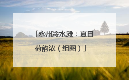 永州冷水滩：夏日荷韵浓（组图）