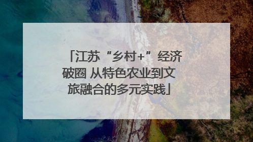 江苏“乡村+”经济破圈 从特色农业到文旅融合的多元实践