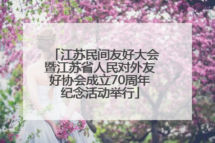 江苏民间友好大会暨江苏省人民对外友好协会成立70周年纪念活动举行