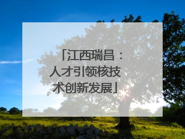 江西瑞昌：人才引领核技术创新发展