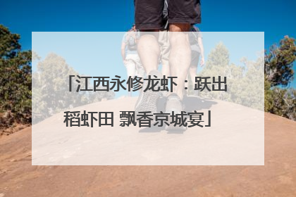 江西永修龙虾：跃出稻虾田 飘香京城宴