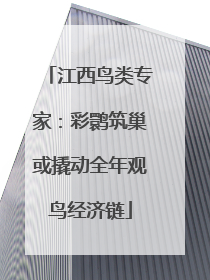 江西鸟类专家：彩鹮筑巢或撬动全年观鸟经济链