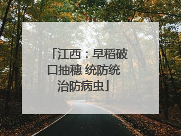 江西：早稻破口抽穗 统防统治防病虫