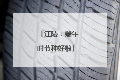 江陵：端午时节种好粮
