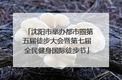 沈阳市举办都市圈第五届徒步大会暨第七届全民健身国际徒步节