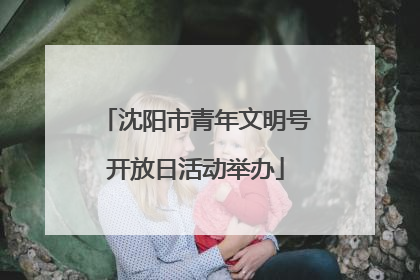 沈阳市青年文明号开放日活动举办