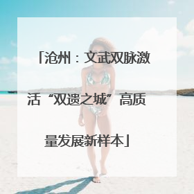 沧州：文武双脉激活“双遗之城”高质量发展新样本