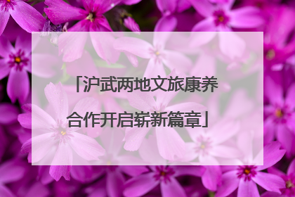 沪武两地文旅康养合作开启崭新篇章