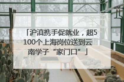 沪滇携手促就业，超5100个上海岗位送到云南学子“家门口”