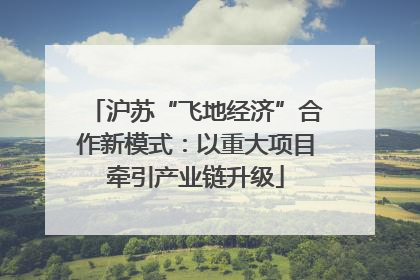 沪苏“飞地经济”合作新模式：以重大项目牵引产业链升级