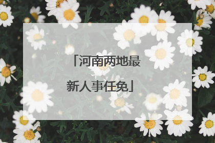 河南两地最新人事任免