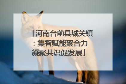 河南台前县城关镇：集智赋能聚合力 凝聚共识促发展