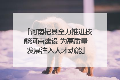河南杞县全力推进技能河南建设 为高质量发展注入人才动能