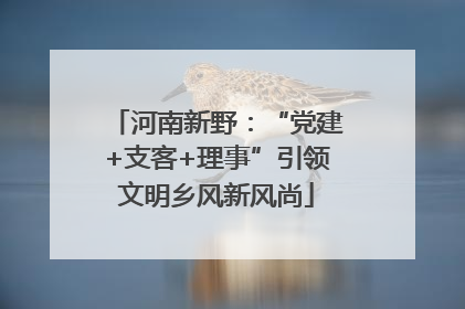 河南新野：“党建+支客+理事”引领文明乡风新风尚