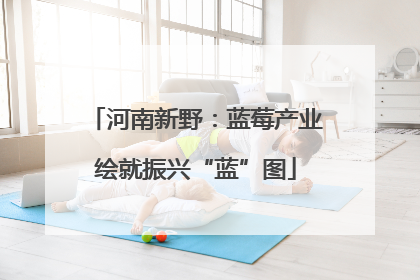 河南新野：蓝莓产业绘就振兴“蓝”图