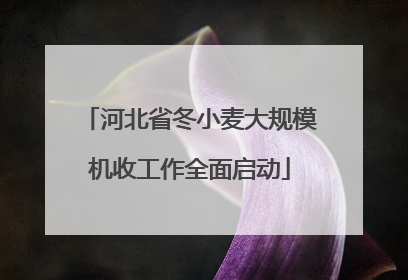河北省冬小麦大规模机收工作全面启动