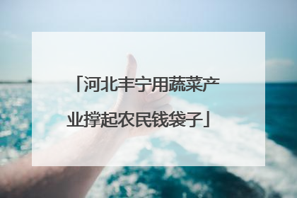 河北丰宁用蔬菜产业撑起农民钱袋子