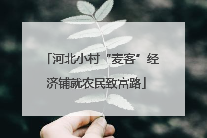 河北小村“麦客”经济铺就农民致富路