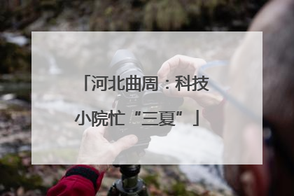 河北曲周：科技小院忙“三夏”
