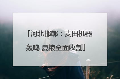 河北邯郸：麦田机器轰鸣 夏粮全面收割