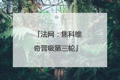 法网：焦科维奇晋级第三轮