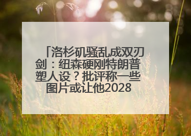 洛杉矶骚乱成双刃剑：纽森硬刚特朗普塑人设？批评称一些图片或让他2028总统梦碎