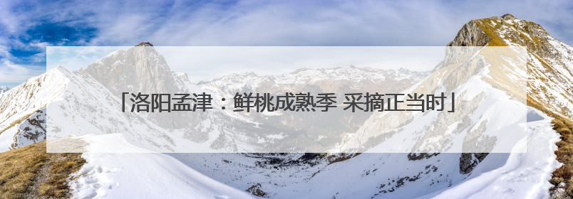洛阳孟津：鲜桃成熟季 采摘正当时