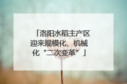 洛阳水稻主产区迎来规模化、机械化“二次变革”