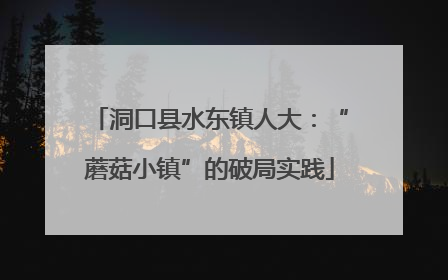 洞口县水东镇人大：“蘑菇小镇”的破局实践