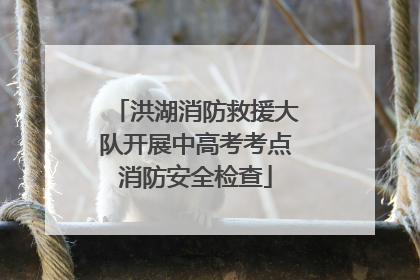 洪湖消防救援大队开展中高考考点消防安全检查