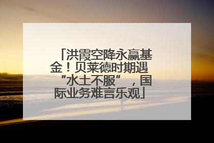 洪霞空降永赢基金！贝莱德时期遇“水土不服”，国际业务难言乐观