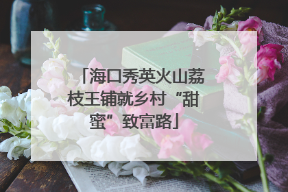 海口秀英火山荔枝王铺就乡村“甜蜜”致富路