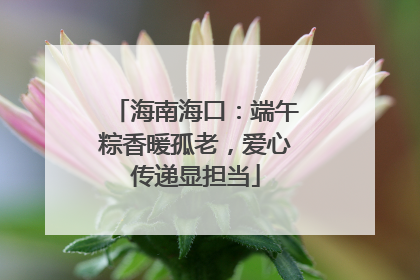 海南海口：端午粽香暖孤老，爱心传递显担当