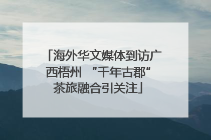 海外华文媒体到访广西梧州 “千年古郡”茶旅融合引关注