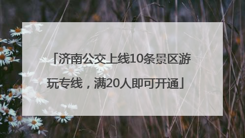 济南公交上线10条景区游玩专线，满20人即可开通
