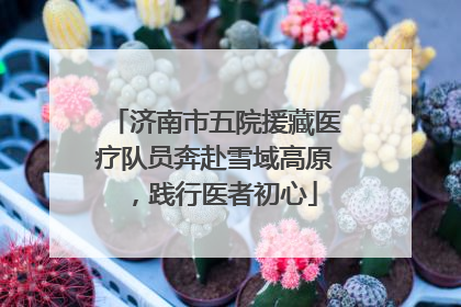 济南市五院援藏医疗队员奔赴雪域高原，践行医者初心