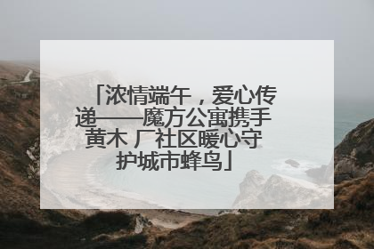 浓情端午，爱心传递——魔方公寓携手黄木 厂社区暖心守护城市蜂鸟