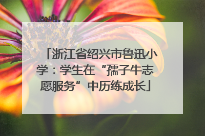 浙江省绍兴市鲁迅小学：学生在“孺子牛志愿服务”中历练成长