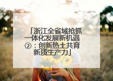 浙江全省域抢抓一体化发展新机遇②：创新热土共育新质生产力
