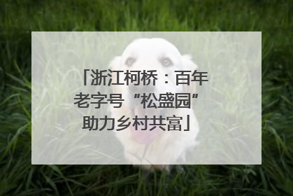 浙江柯桥：百年老字号“松盛园”助力乡村共富