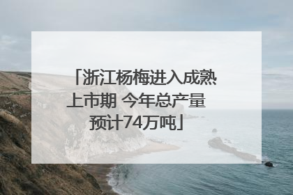 浙江杨梅进入成熟上市期 今年总产量预计74万吨