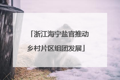 浙江海宁盐官推动乡村片区组团发展
