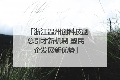 浙江温州创科技副总引才新机制 塑民企发展新优势