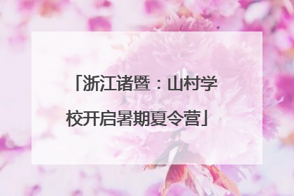 浙江诸暨：山村学校开启暑期夏令营