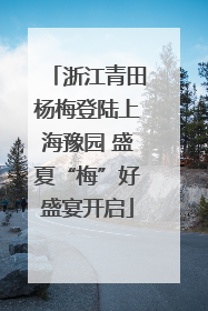 浙江青田杨梅登陆上海豫园 盛夏“梅”好盛宴开启