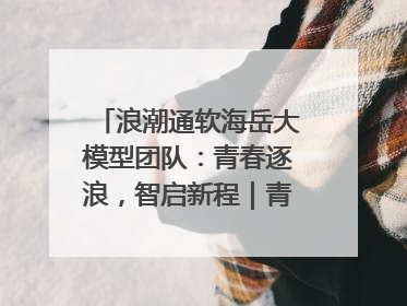 浪潮通软海岳大模型团队：青春逐浪，智启新程｜青春思政课