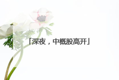 深夜，中概股高开
